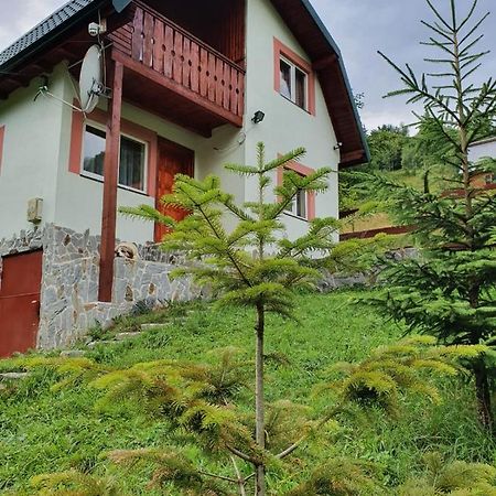 Вілла Casa Dor De Ea Димбовічйоара Екстер'єр фото