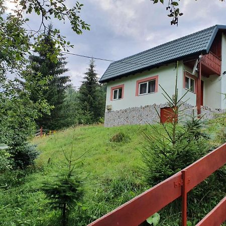 Вілла Casa Dor De Ea Димбовічйоара Екстер'єр фото