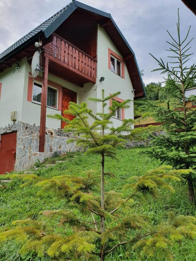 Вілла Casa Dor De Ea Димбовічйоара Екстер'єр фото