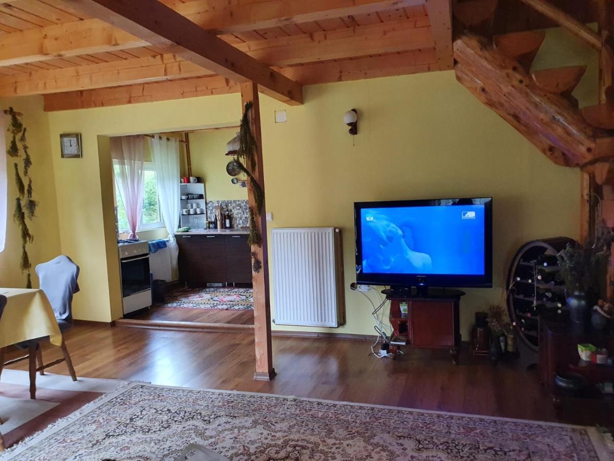 Вілла Casa Dor De Ea Димбовічйоара Екстер'єр фото