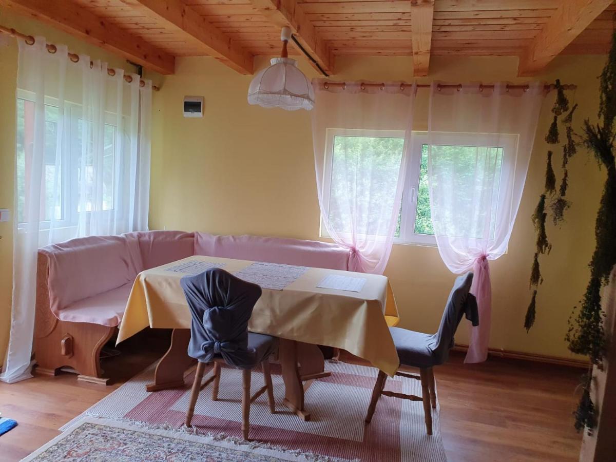 Вілла Casa Dor De Ea Димбовічйоара Екстер'єр фото