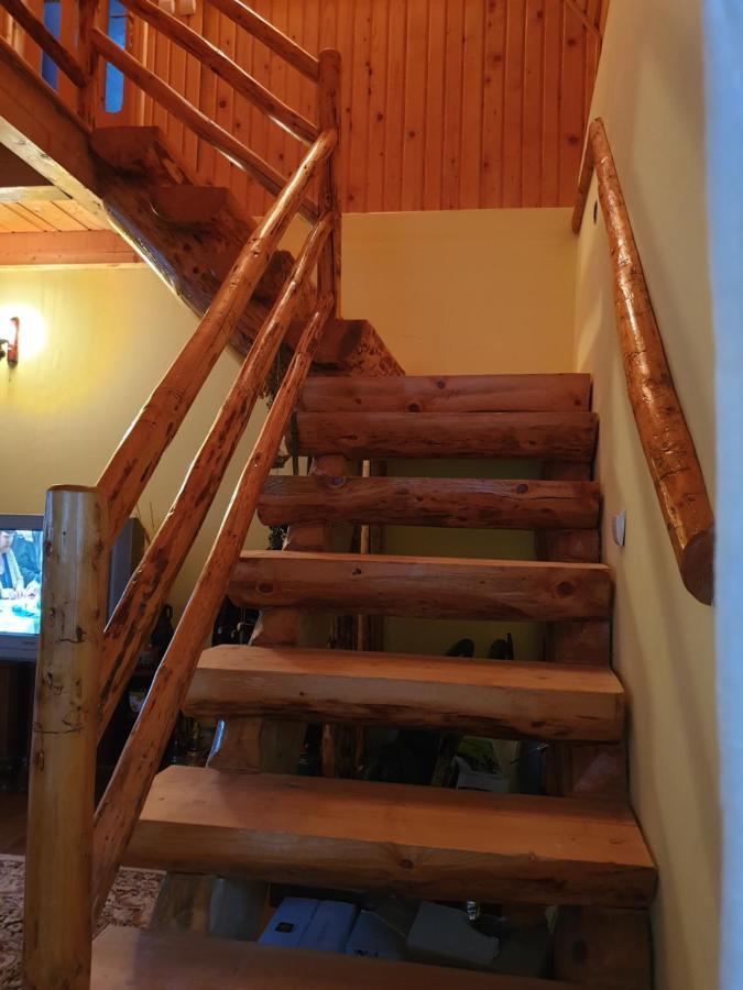 Вілла Casa Dor De Ea Димбовічйоара Екстер'єр фото